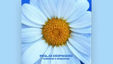 imagen del concierto de Palo Domado Concert en murcia