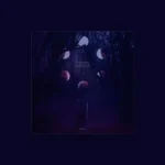 imagen del concierto de Pelacha Concert en madrid