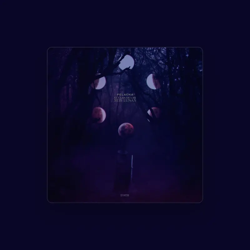 imagen del concierto de Pelacha Concert en madrid