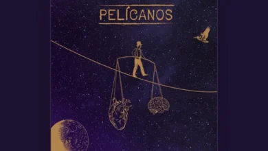 imagen del concierto de PELÍCANOS Concert en madrid