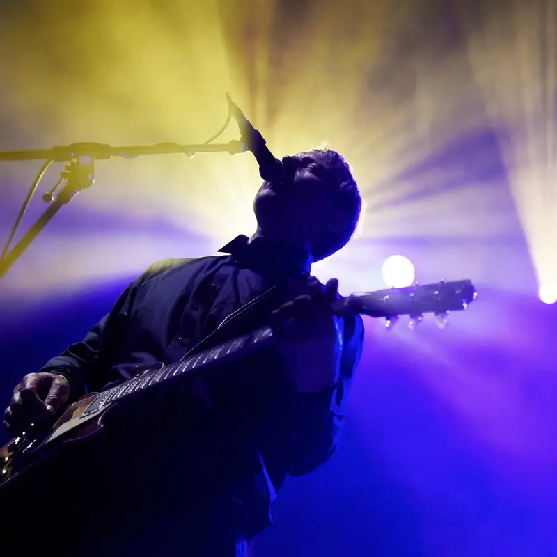 imagen del concierto de Pink Turns Blue Concert en madrid