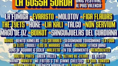 imagen del concierto de Pirata Beach Fest 2026 en gandia