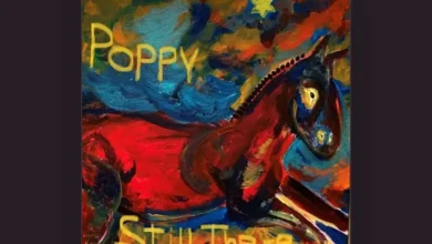 imagen del concierto de Poppy Concert en badalona