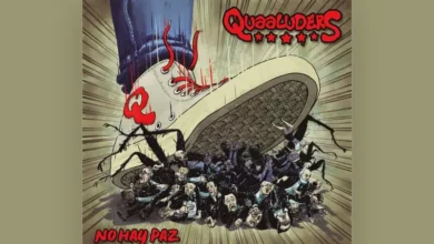 imagen del concierto de Quaaluders Concert en madrid