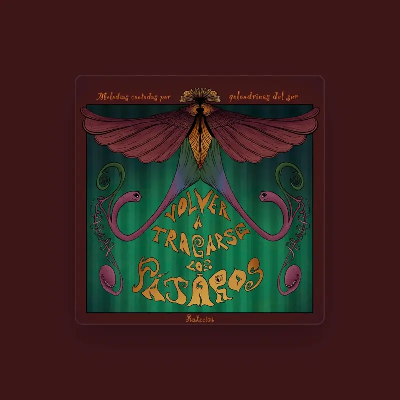 imagen del concierto de Rakusion Concert en estepona