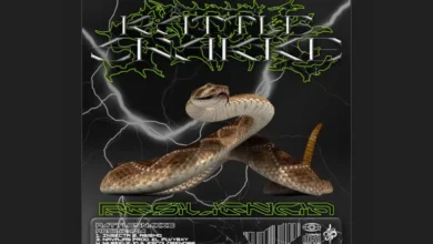 imagen del concierto de Rattlesnakke Concert en barcelona