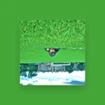 imagen del concierto de Raúl Querido Concert en madrid