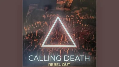 imagen del concierto de Rebel out Concert en madrid
