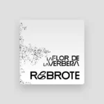 imagen del concierto de Rebrote Concert en madrid