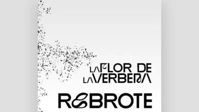 imagen del concierto de Rebrote Concert en madrid