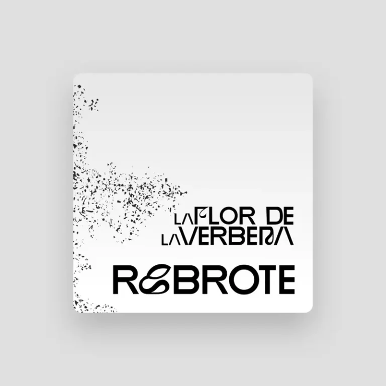imagen del concierto de Rebrote Concert en madrid