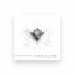 imagen del concierto de Ricky hombre libre Concert en madrid