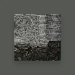 imagen del concierto de RNXRX Concert en barcelona