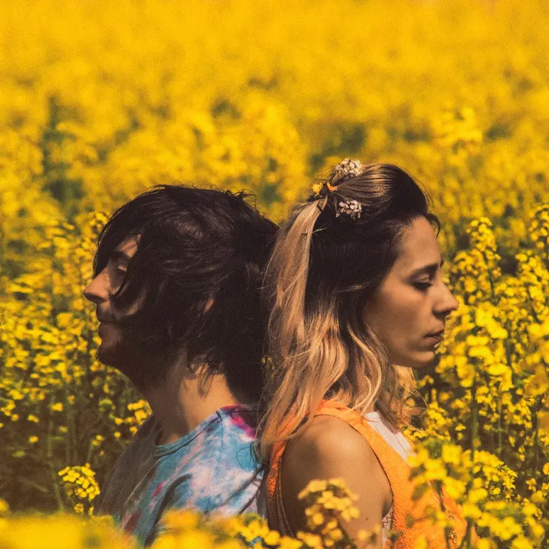 imagen del concierto de Rufus T. Firefly Concert en león