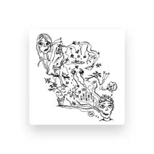 imagen de rumbos en directo