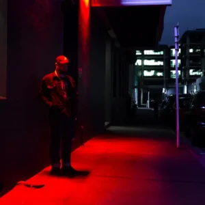 imagen de Salvia en directo