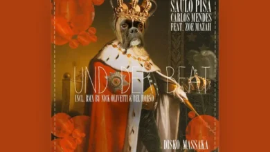 imagen del concierto de Saulo Pisa Concert en barcelona
