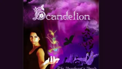imagen del concierto de Scandelion Concert en las palmas de gran canaria