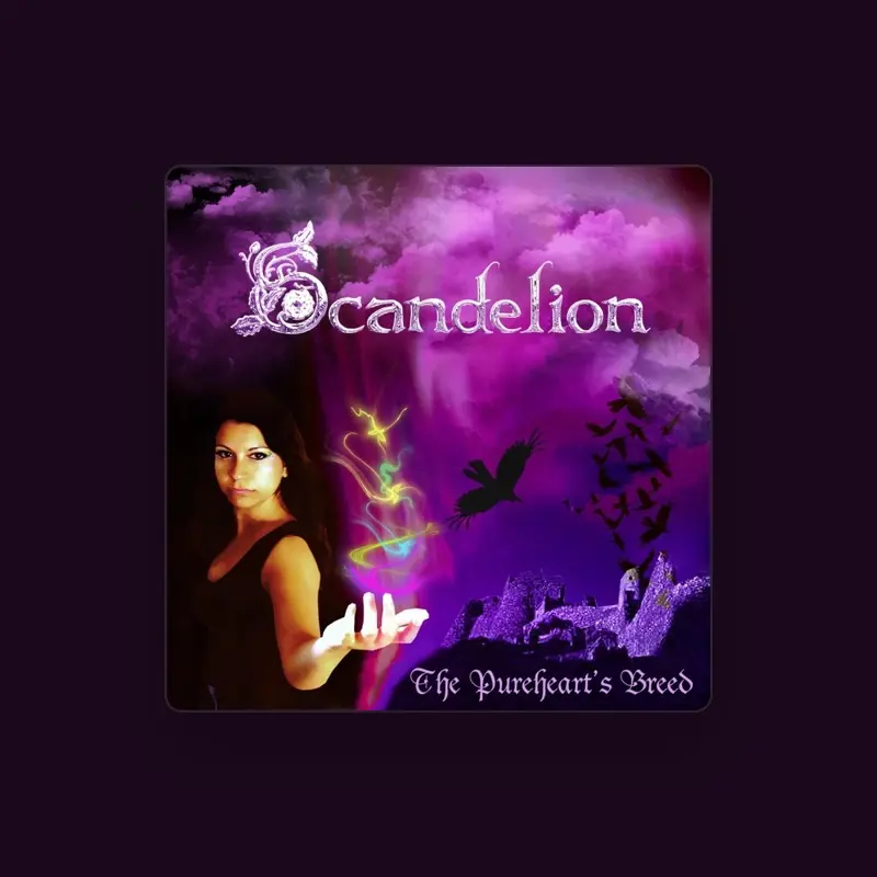 imagen del concierto de Scandelion Concert en las palmas de gran canaria