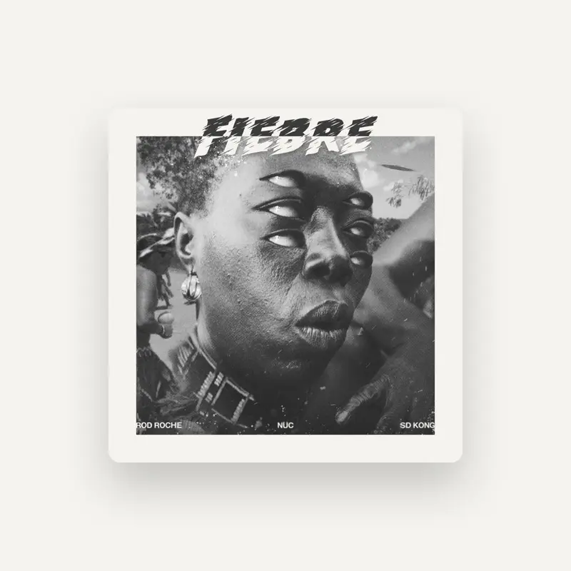 imagen del concierto de SD Kong Concert en madrid