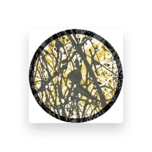 imagen de Setaoc Mass en directo