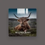 Cartel y entradas de Shannon Og Concert en Taberna J&J (Granada) - Qconciertos