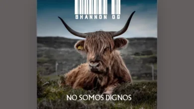 imagen del concierto de Shannon Og Concert en granada