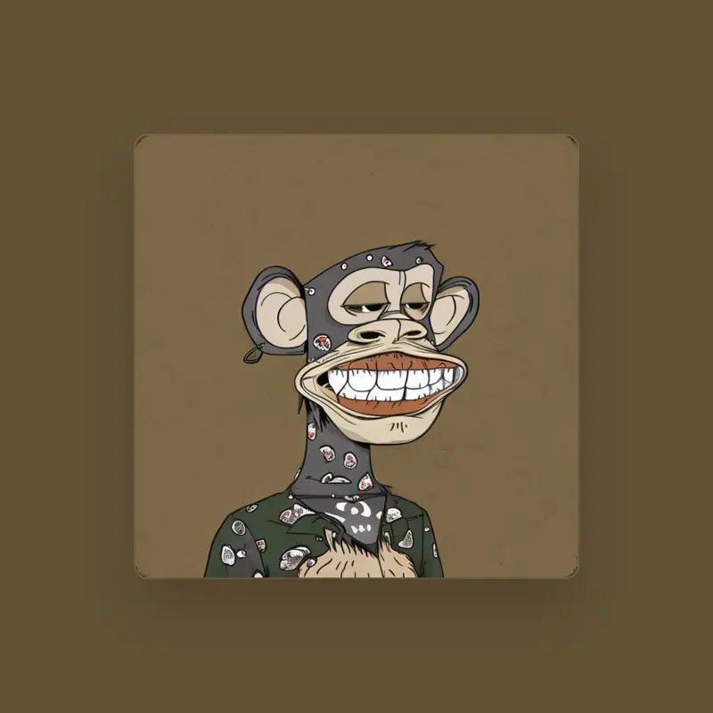 imagen del concierto de SHELTER Concert en donostia