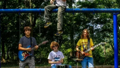 imagen del concierto de Soda Pop Concert en madrid
