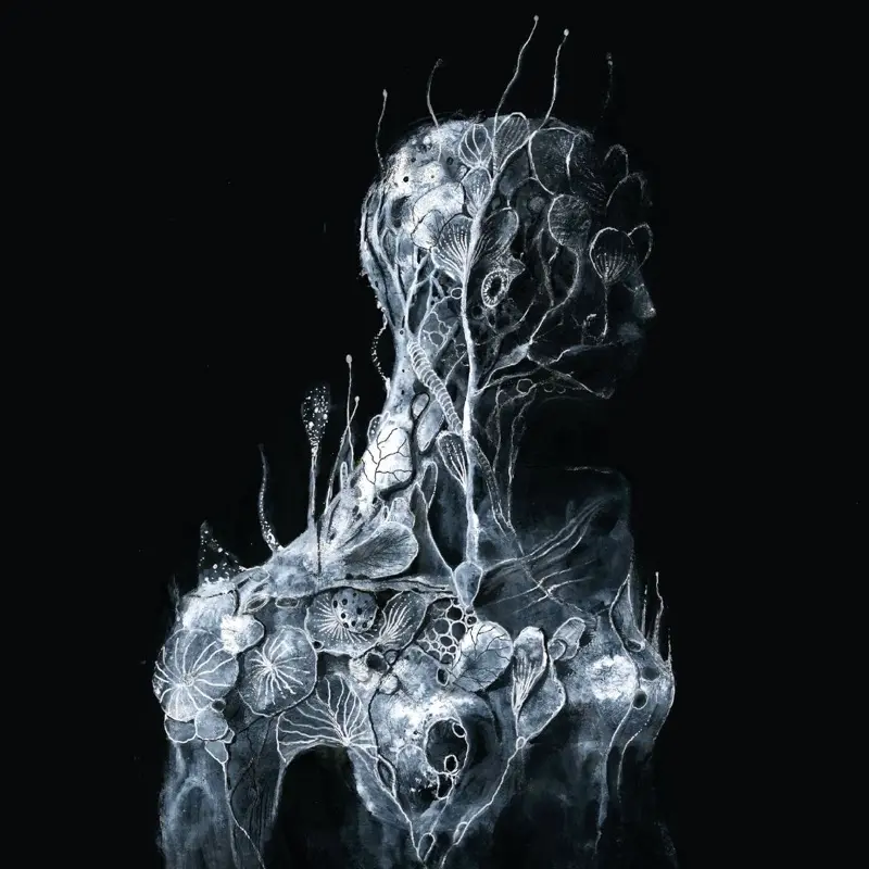 imagen del concierto de Soen Concert en barcelona