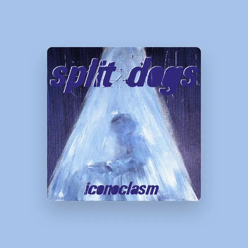 imagen del concierto de Split Dogs Concert en gasteiz