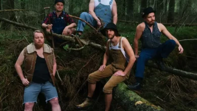 imagen del concierto de Steve ‘n’ Seagulls Concert en granada