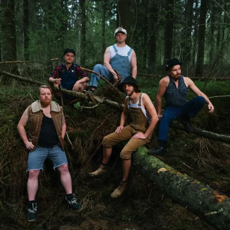 imagen del concierto de Steve ‘n’ Seagulls Concert en sevilla