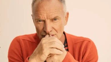 imagen del concierto de Sting Concert en santa cruz de tenerife