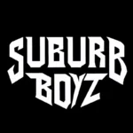 imagen del concierto de SUBURB BOYZ Concert en murcia