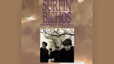 imagen del concierto de Surfin' Bichos Concert en donostia