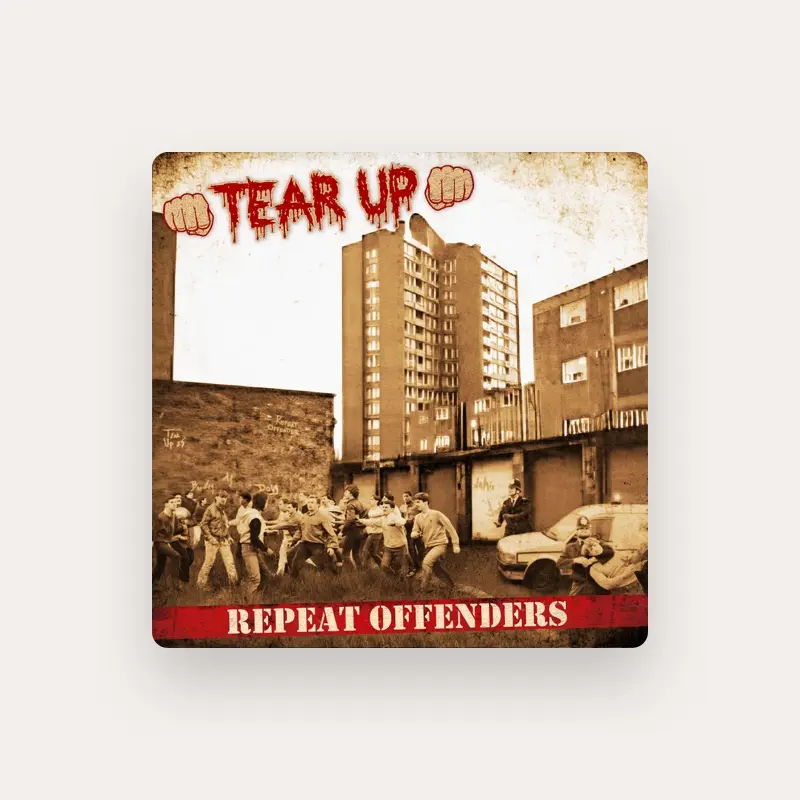 imagen del concierto de Tear Up en benidorm