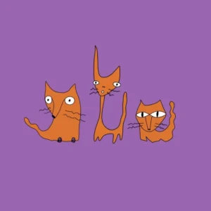 imagen de Teen Dwayne en directo