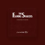 imagen del concierto de The Flaming Shakers Concert en zaragoza