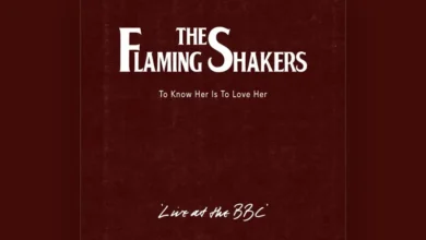 imagen del concierto de The Flaming Shakers Concert en zaragoza