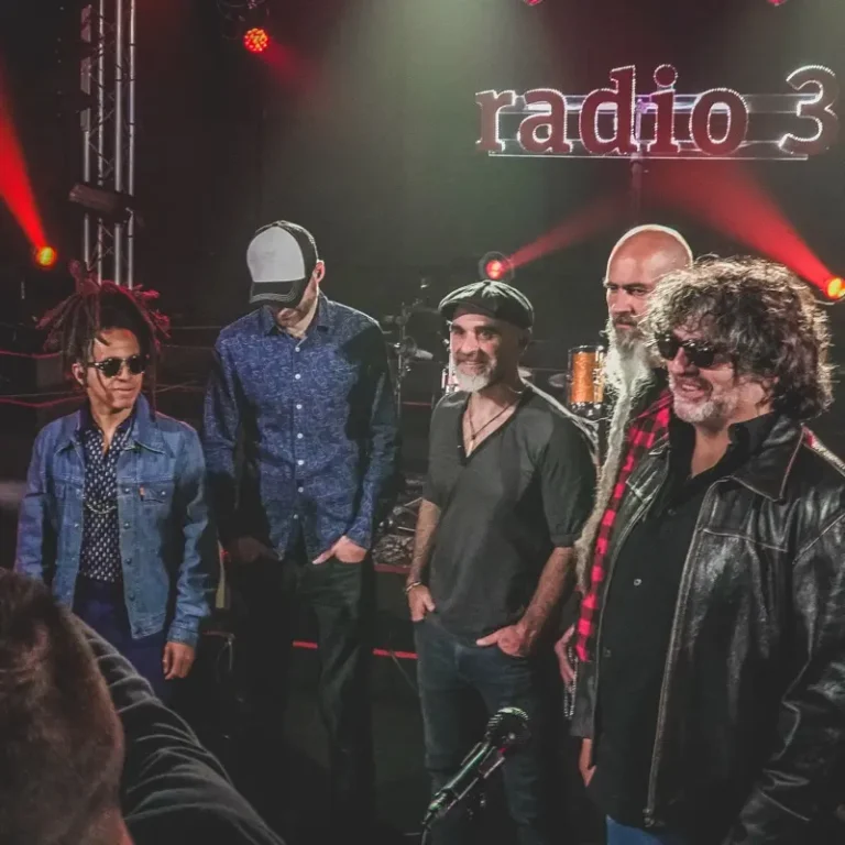 imagen del concierto de The Groove Family Concert en madrid