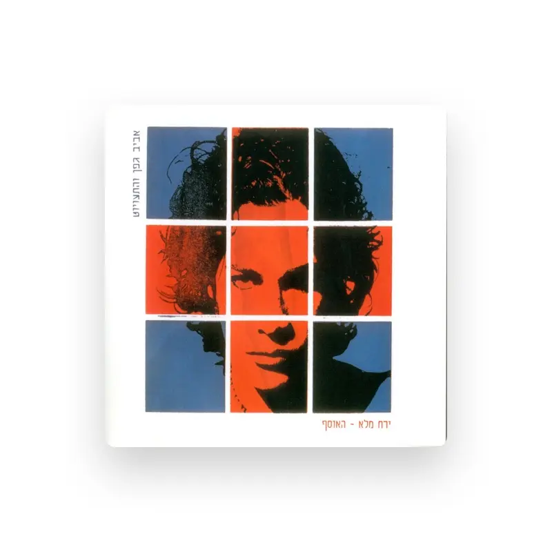 imagen del concierto de The Mistakes en benidorm