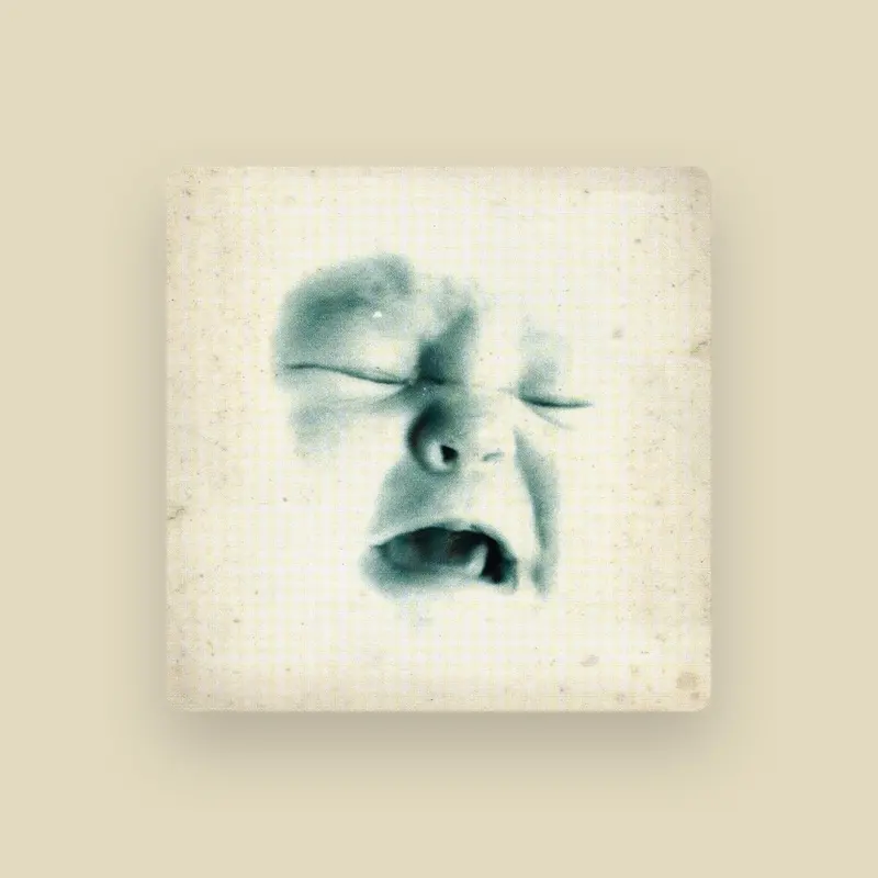 imagen del concierto de The Soundtrack of Our Lives Concert en madrid