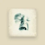 Cartel y entradas de The Soundtrack of Our Lives Concert en Kafe Antzokia (Vizcaya) - Qconciertos