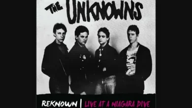 imagen del concierto de The Unknowns Concert en donostia
