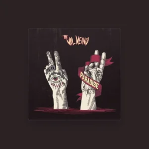 imagen de The VIL VEINS en directo