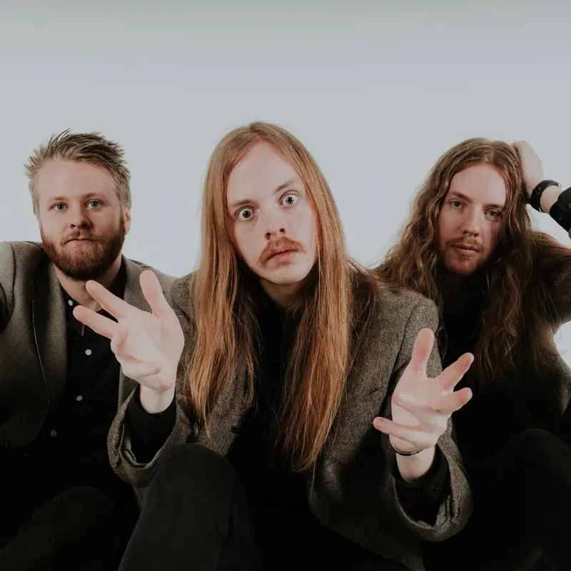 imagen del concierto de The Vintage Caravan en viveiro