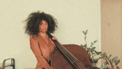 imagen de Tonina en directo