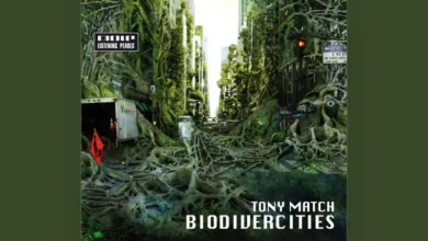 imagen del concierto de Tony Match Concert en barcelona