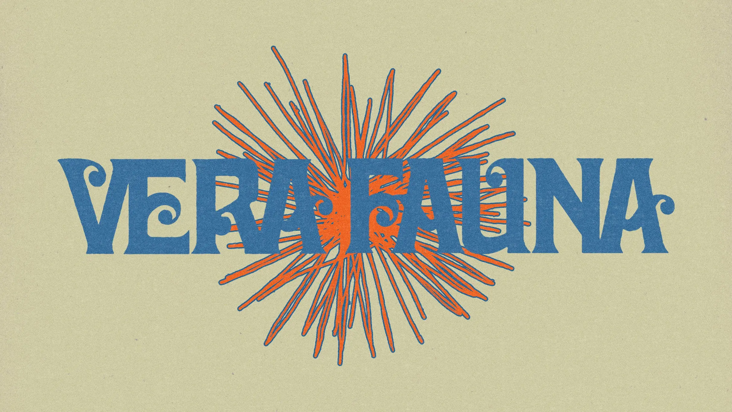 imagen del concierto de Vera Fauna Concert en valencia